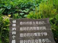 -东山香樟园