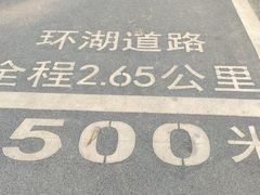 -海珠湖公园