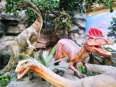 -国家自然博物馆