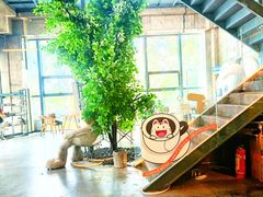 -了不起的考拉咖啡店(高新店)