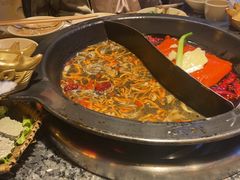 -蜀大侠火锅(总府路店)