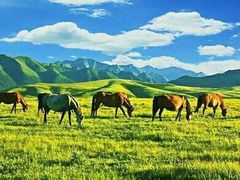 -马学武手抓美食(下南关总店)