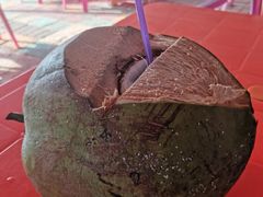 -贝壳沙滩