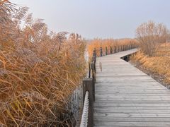 -野鸭湖国家湿地公园