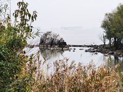 -上海吴淞炮台湾国家湿地公园