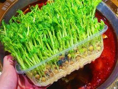 -受气牛肉·重庆耙牛肉(来福士店)