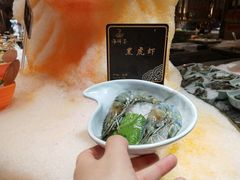 -海玥荟海鲜姿造自助餐厅(欧罗巴广场店)