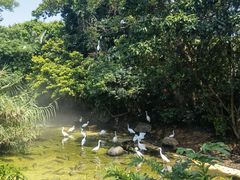 -珠海长隆海洋王国
