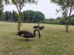 -福建鲤鱼洲酒店