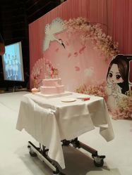 -圣塔拉 宝宝宴生日Party气球派对一站式高端策划