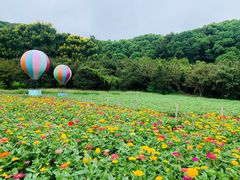 -苏州上方山国家森林公园