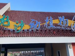 -齐齐哈尔龙沙动植物园
