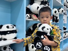 -中国大熊猫保护研究中心雅安碧峰峡基地