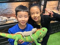 -FAIRYLAND龙族星球主题餐厅(凯丹广场店)