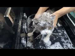 -立德动物医院·24小时中心(番禺区院区)