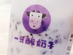 -一只酸奶牛(汕头金平万达广场店)