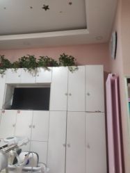 -香薇妮丝·定制减肥·身材管理