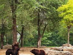 -北京野生动物园