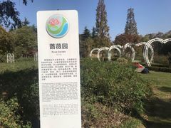 -昆山城市生态森林公园