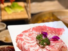 新西兰羊肉-小龙坎火锅(阳泉店)