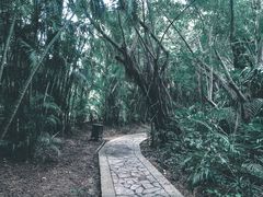 -三亚亚龙湾红树林度假酒店