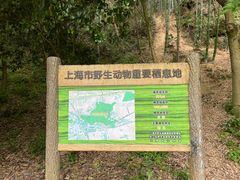 -上海佘山国家森林公园天马山园