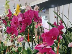 -王府井百货(总府店)