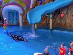 -烟台海昌鲸鲨海洋公园