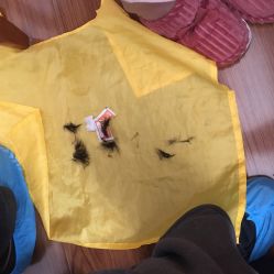 -龙文宝贝上门婴儿理发满月剃胎毛(浦东店)