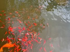 -熙古里艺术村