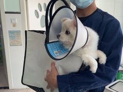 -佳雯宠物医院·皮肤科·内外科(春晓路分院)