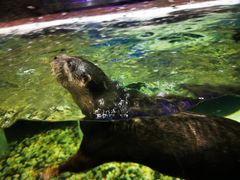 -成都浩海立方海洋公园