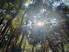 -东湖落雁景区