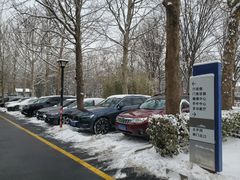 -首都医科大学附属北京地坛医院