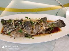 -紫丁香饭店-中餐厅