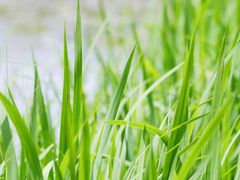 -苏州河梦清园环保主题公园