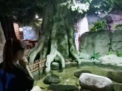 -南昌海洋公园