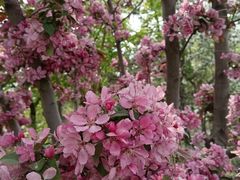 -元大都城垣遗址公园