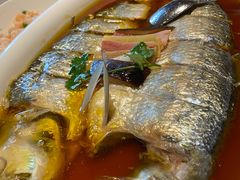 鲥鱼-玫瑰厅上海菜(兴国路店)