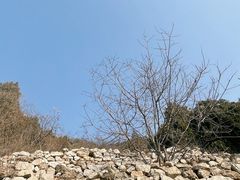-府君山公园