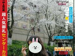-武汉大学-樱园