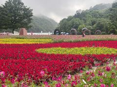 -广州市石门国家森林公园