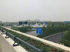 -迪士尼乐园停车场