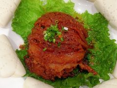 -万荣烤鸭店·北京菜(天坛店)