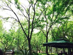 iphone_upload_pic-蘭·日本料理铁板烧(碧云路店)