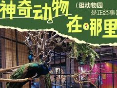 -正佳雨林生态植物园