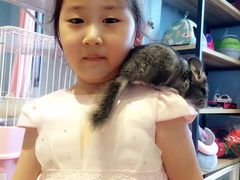 -藦茜花园宠物主题亲子互动体验馆(国顺东路店)