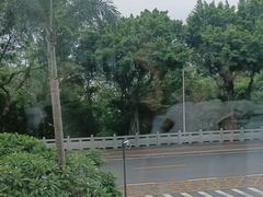 -海湾壹品·粤菜·早茶·烤鸭(拱北店)