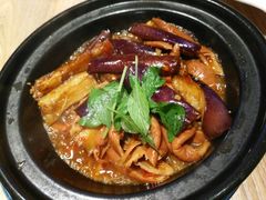 -芒果爆爆(东海缤纷店)