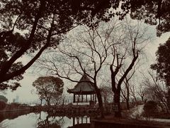 -无锡蠡湖国家湿地公园-蠡园